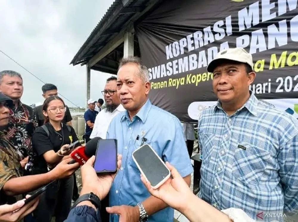 Dorong Produksi Telur, Kemenkop Dorong Modernisasi Peternakan Ayam Petelur